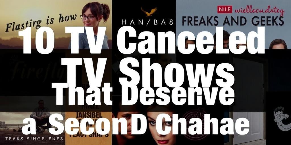 10 Canceled TV Shows That Deserve a Second Chance